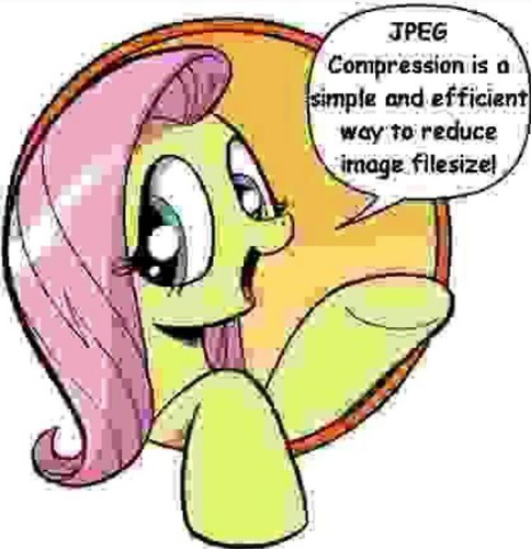 An edit from the My Little Pony comics of Fluttershy saying in a speech bubble 'JPEG Compression is a simple and efficient way to reduce filesize!' that has been edited to look horribly distorted from said JPEG compression.